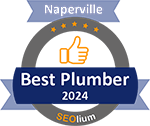 SEOlium Best Plumber 2024 Naperville